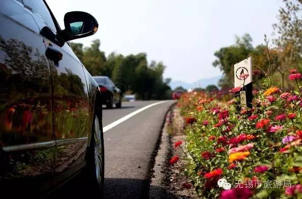 无锡一日游最佳景点旅游攻略,无锡旅游攻略一日游最佳线路推荐