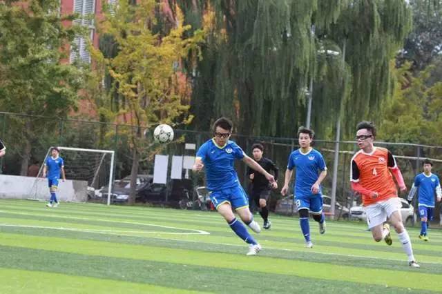 我眼中的足球世界,我眼中的足球世界杯