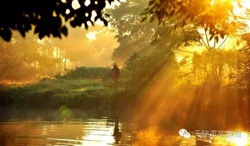 无锡一日游最佳景点旅游攻略,无锡旅游攻略一日游最佳线路推荐