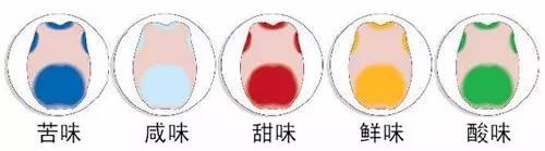 辨别酒的真假从哪几个方面入手,教你如何辨别真假酒有啥绝招