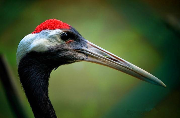 秒杀旅行第二弹|11个爆款脱单地，剁手价￥11诗画浙江任你游！