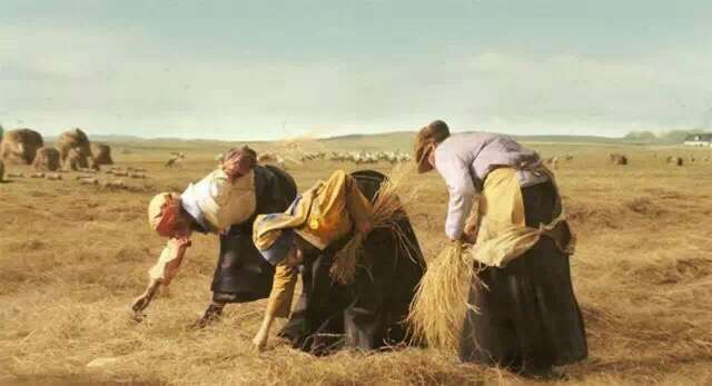 金莎张靓颖,张靓颖金莎