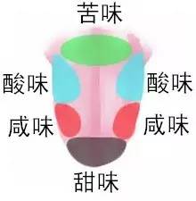 葡萄酒小白选什么酒,葡萄酒小白知识培训内容