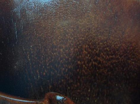 犀角中医讲解,有关犀角的辨别所有视频总汇