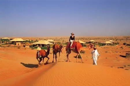 双11还上淘宝？阿联酋对中国免签！还不快去捡黄金