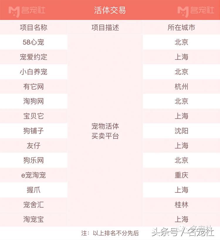 杭州互联网宠物公司有哪些,厦门宠物互联网公司有哪些