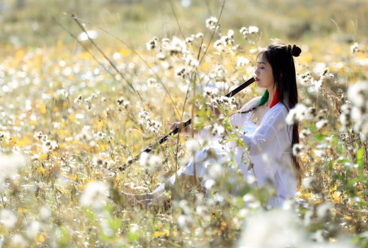 我在秋天等你是什么歌,我在秋天等你美到心碎散文