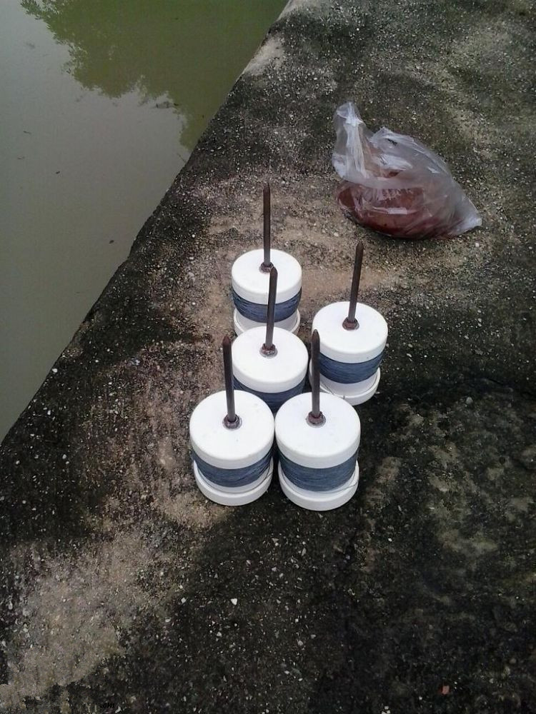 用小竹子来钓12斤的大鲤鱼,2.7米手竿钓获十几斤的鲤鱼