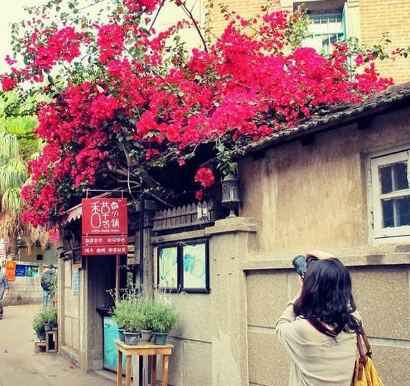 鼓浪屿是如何打造万国博览园的,厦门鼓浪屿称万国建筑博物馆吗