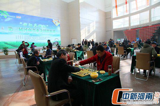 河南围棋业余锦标赛,河南省桃花杯围棋公开赛