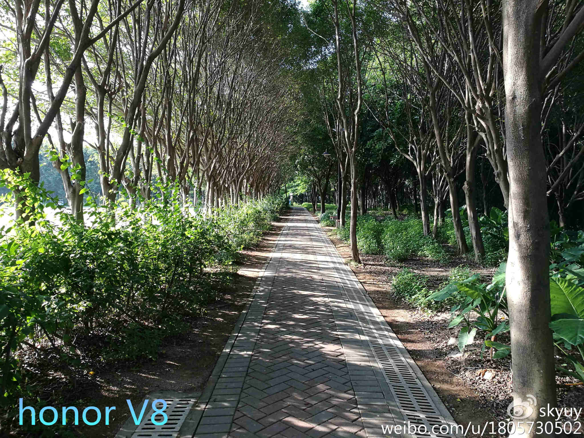 光荣v8手机测评,光荣至尊v8平板测评