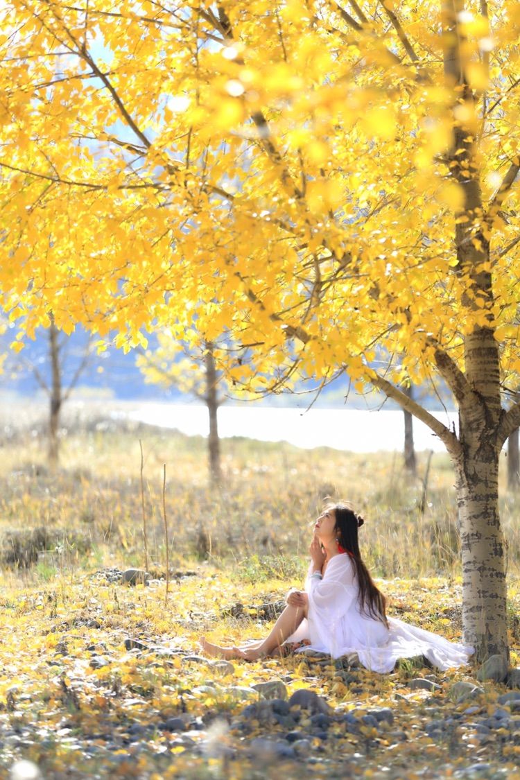 我在秋天等你是什么歌,我在秋天等你美到心碎散文