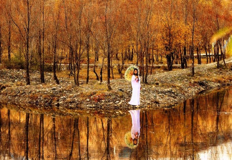 我在秋天等你是什么歌,我在秋天等你美到心碎散文