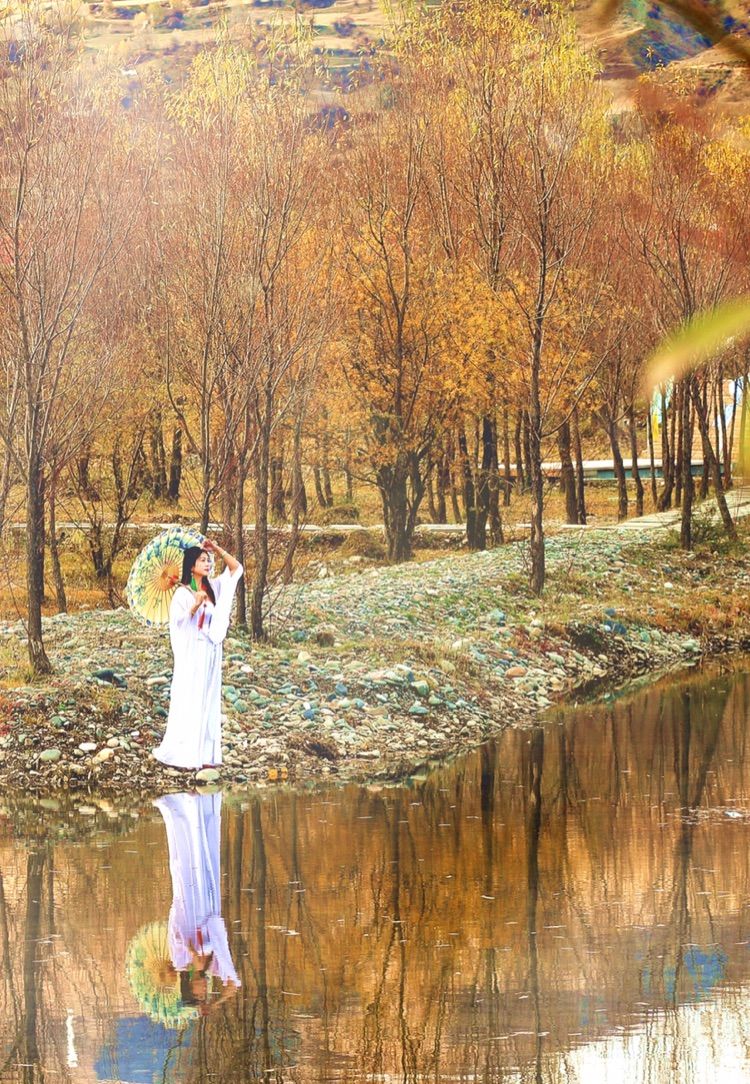 我在秋天等你是什么歌,我在秋天等你美到心碎散文