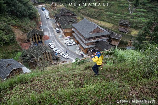上山割茅草编茅草筐,农村割草竹筐手工编织教程