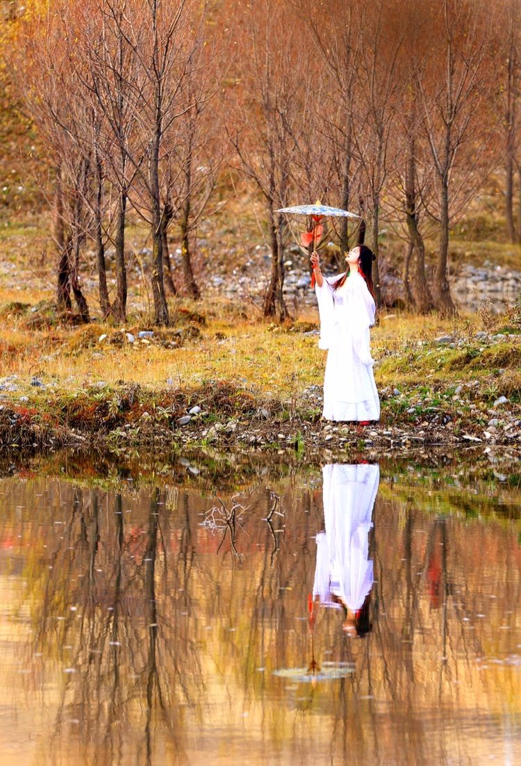 我在秋天等你是什么歌,我在秋天等你美到心碎散文