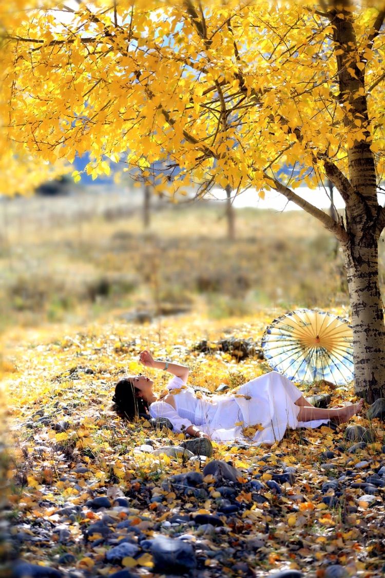 我在秋天等你是什么歌,我在秋天等你美到心碎散文