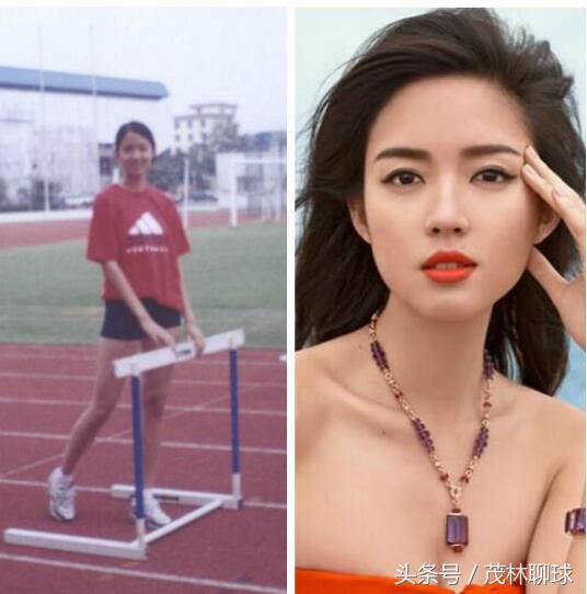 运动员出道明星,运动员出身的明星