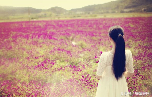 梦里花落知多少全文,梦里花落知多少