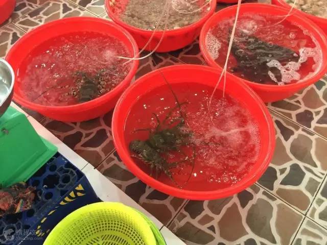 泰国奢华游一价全包,泰国奢华游价格