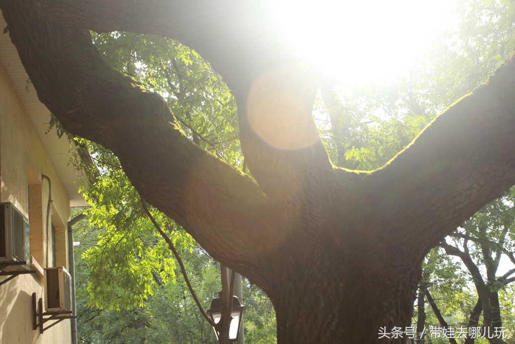 姘戝浗棰愬拰鍏,鍗椾含棰愬拰鍏娓歌