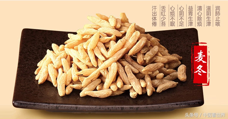 常见室内绿化植物大全,十种室内绿化的植物