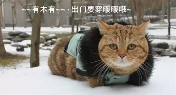 古人是如何度过寒冻的,天气冷的古人如何御寒