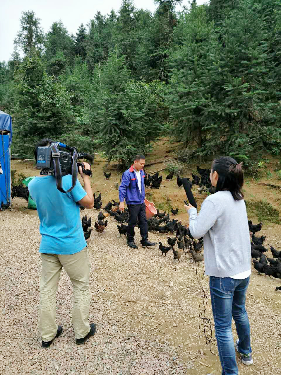 从破产农场转型一线品牌大型农场，鬼知道经历了什么