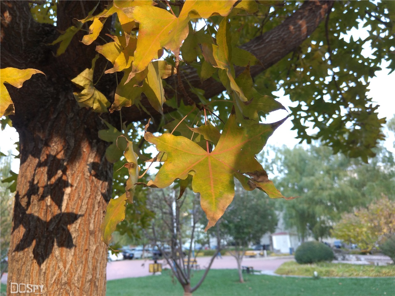 骁龙版360n4s值得买,360n4s骁龙版好用吗