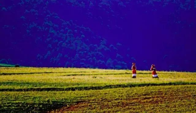 丽江至泸沽湖公路沿途风景,泸沽湖到丽江高速什么时候通车