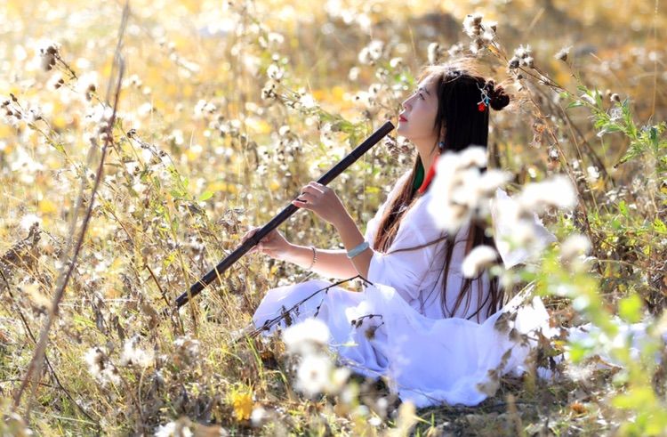 我在秋天等你是什么歌,我在秋天等你美到心碎散文