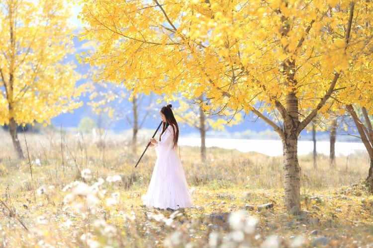 我在秋天等你是什么歌,我在秋天等你美到心碎散文