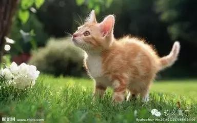 打动人心的营销方法,最能打动你的营销