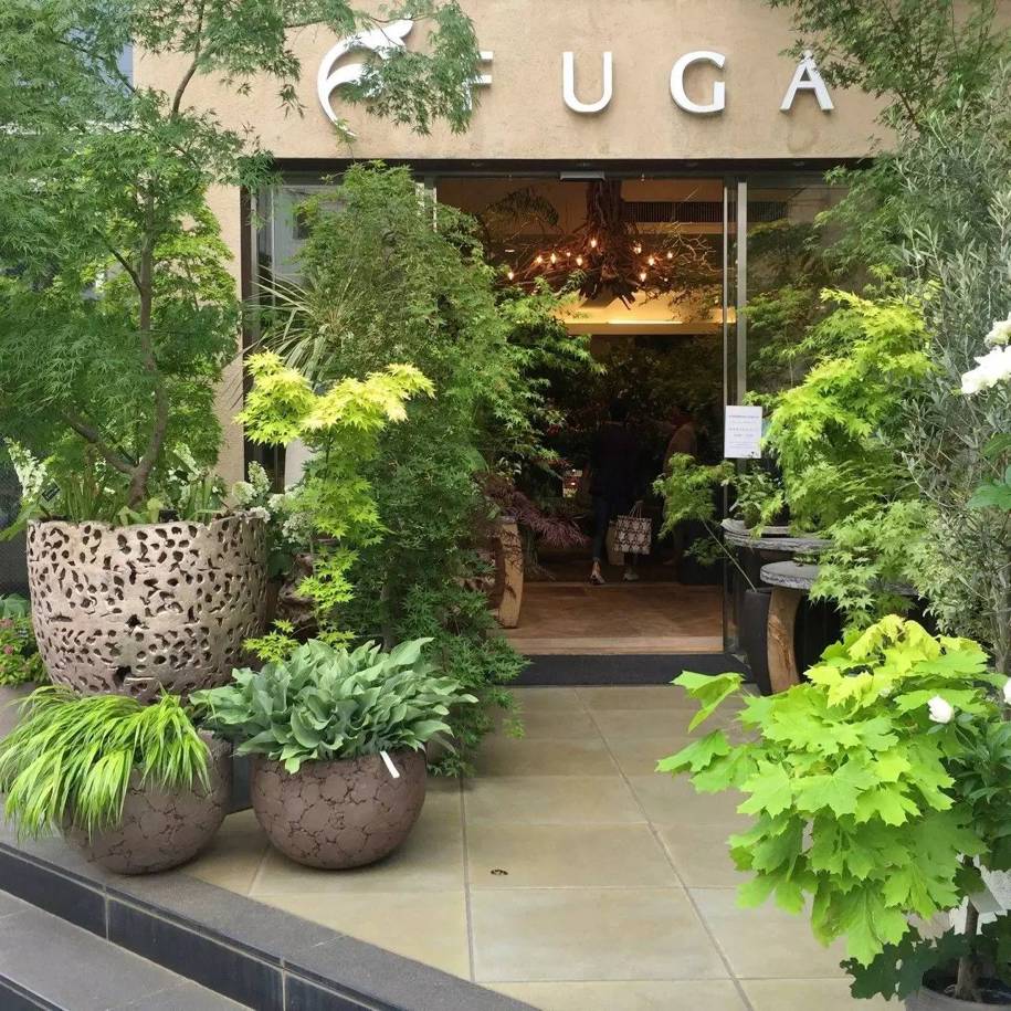 东京花店,东京南青山花店