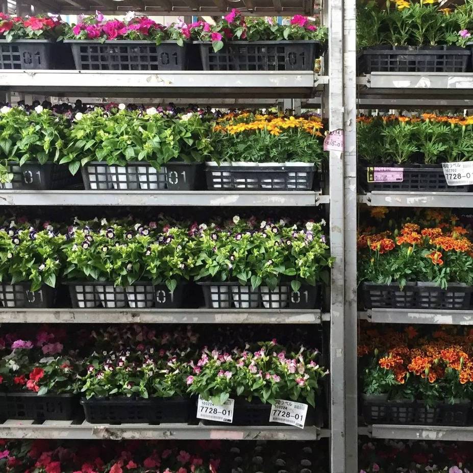 东京花店,东京南青山花店