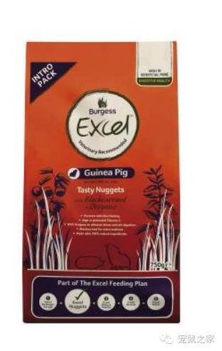 看看那些年我们一起追过的荷兰猪猪粮（下）