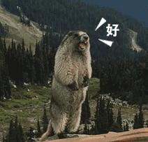 lol转区掌盟已经显示是成功了吗,lol掌盟如何查看转区进度