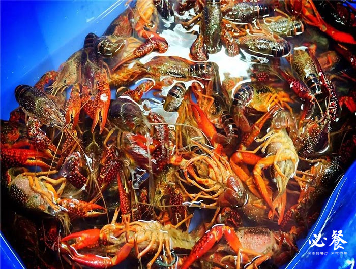 舌尖上的中国珠海美食攻略,舌尖上的珠海海鲜美食店铺推荐