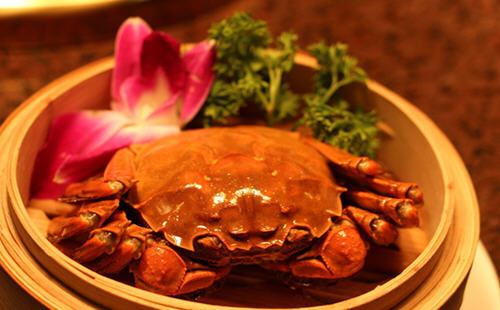 发家致富小农民,致富小农民