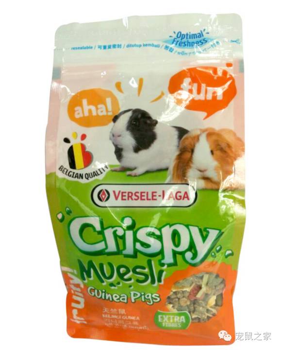 看看那些年我们一起追过的荷兰猪猪粮（下）