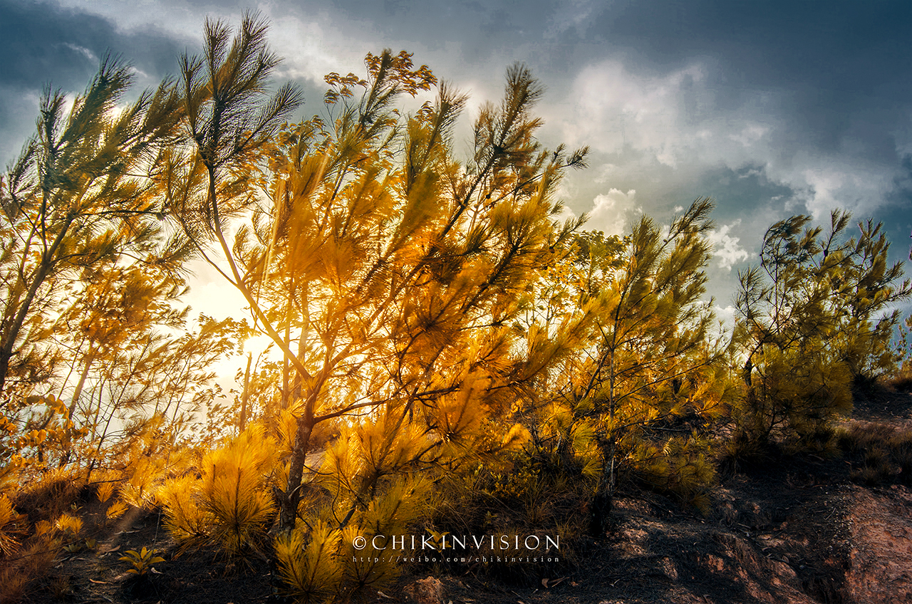 老机身配新镜头能改善画质吗,老镜头样片