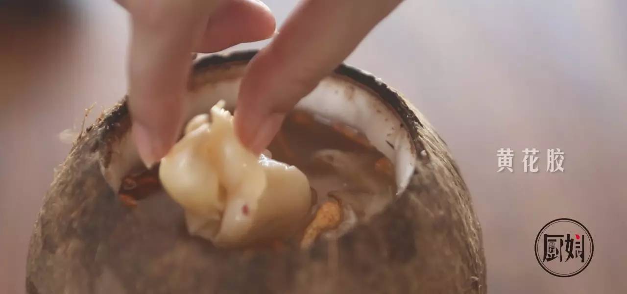 鲜炖花胶滋补养生,夏天适合炖花胶