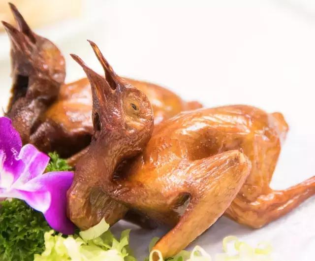 广州鸽子为特点的餐厅,广州最有特点餐厅推荐
