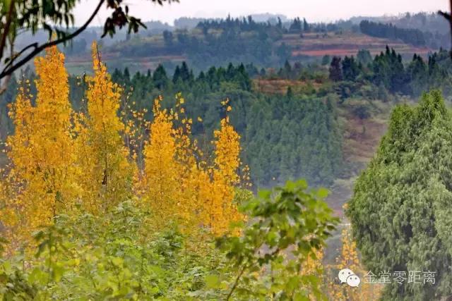 航拍金堂玉皇山,玉皇山登高金堂