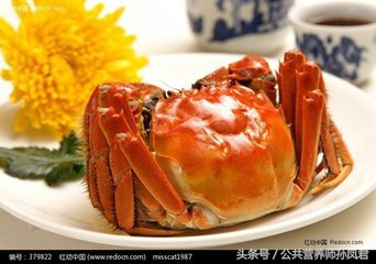 孕妇能吃螃蟹吗,孕妇能吃螃蟹吗是什么意思