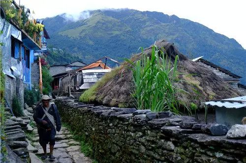 尼泊尔这个国家最喜欢吃什么 (西藏的尼泊尔美食)