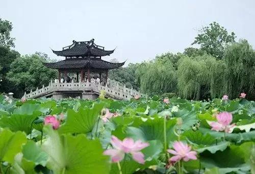 他颠覆我们心中理工男的形象，砸锅卖铁造民宿价格却低的惊人！