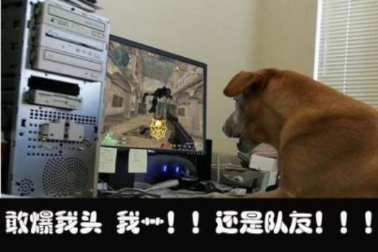 创业板中的蓝筹股有哪些,创业板对比科创板