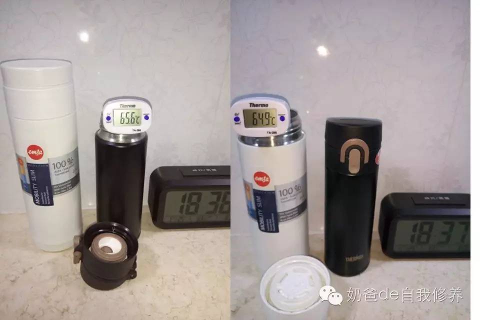 孔雀儿童保温杯评测 (德国品牌儿童保温杯排行榜)