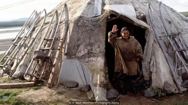 哈士奇犬的缺点和优点秒懂,哈士奇是狗界最出名的犬种吗